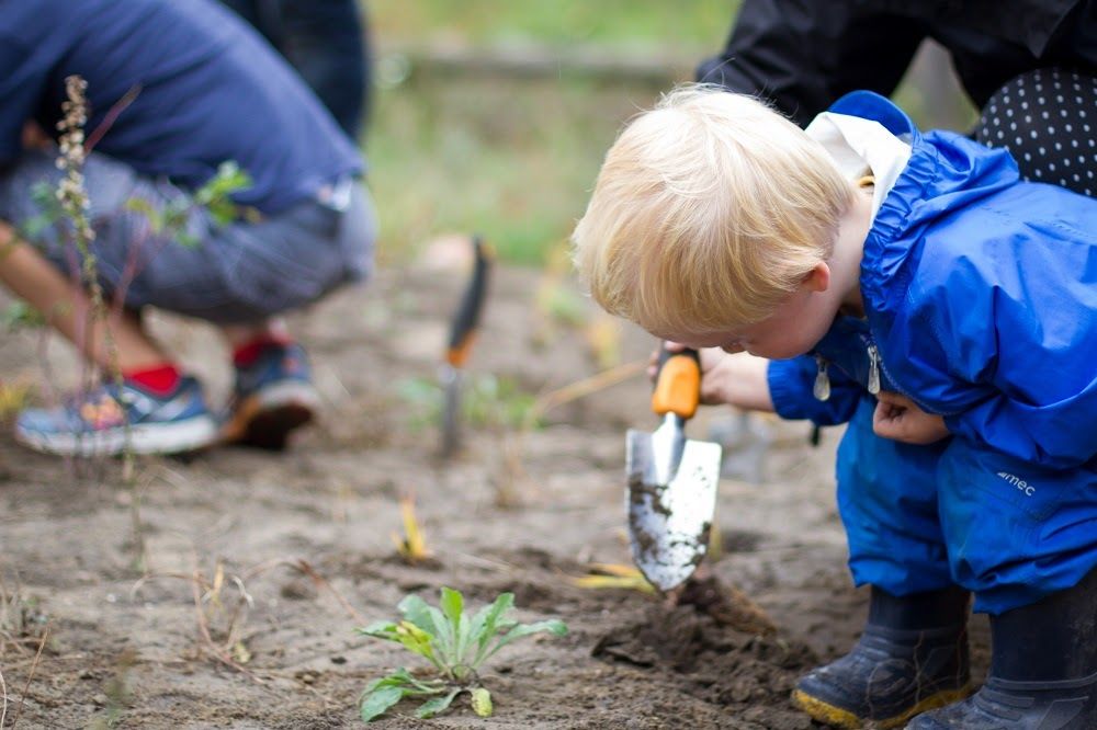 A blond child digging durt with a shovel