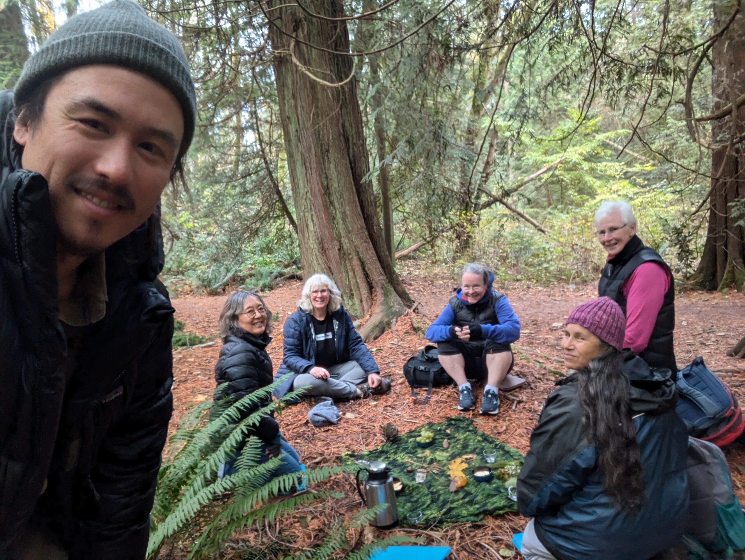 People sitting in a forest
