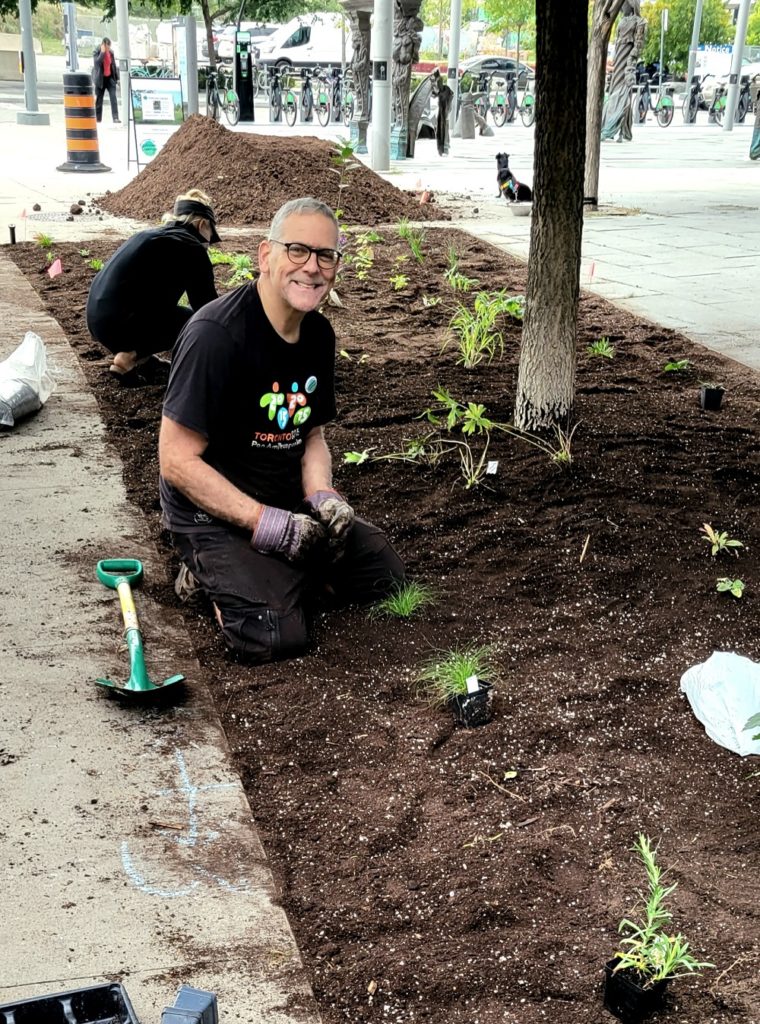 A man planting a plant