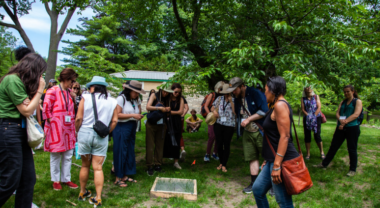 A group of people watching a turtle nest